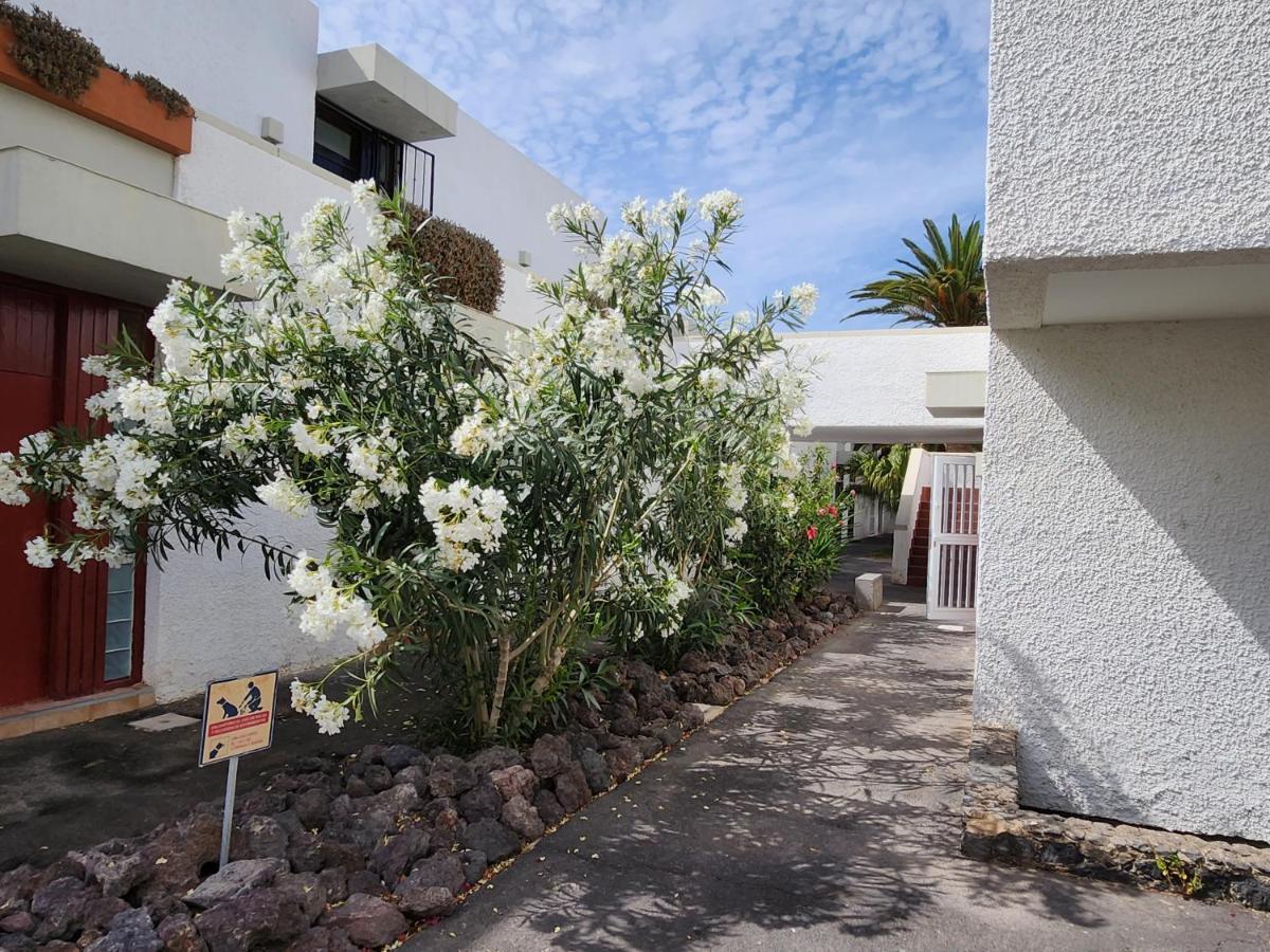Апартаменты Casa De Mariposas Коста-дель-Силенцио Экстерьер фото